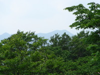 DSC01664