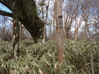 P3050026
