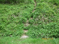 IMGP0244