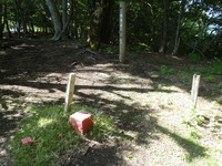 P6040053
