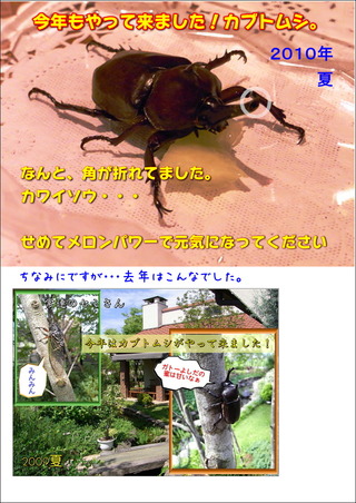 kabuto201007