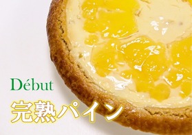 完熟パイン_携帯1/4-50p
