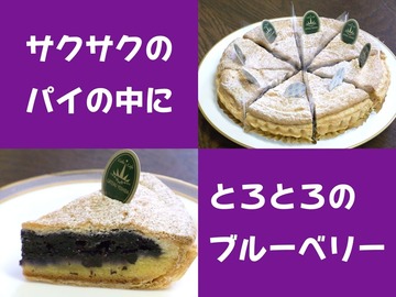 BlueBerryPie-30p