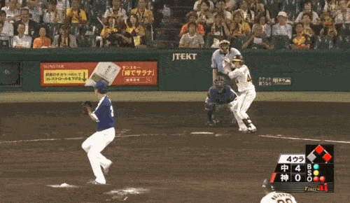 2018梅野4号