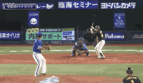 2018梅野3号