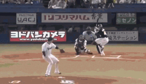 2018梅野6号