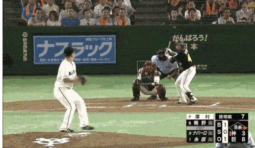 2018梅野8号