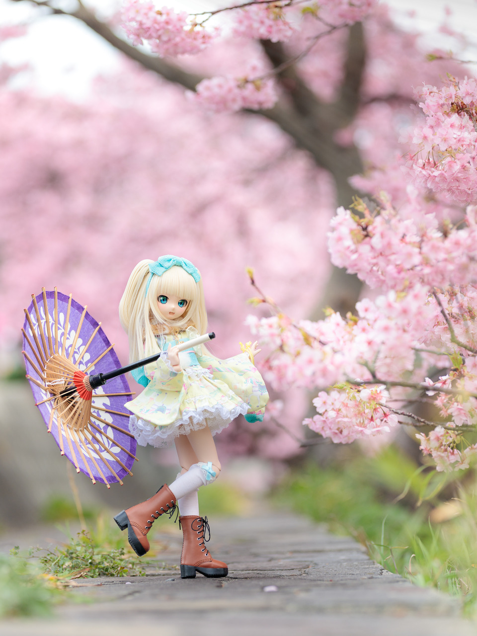 IMG_4210-Edit-1-2