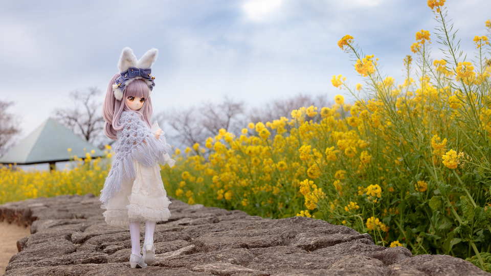 IMG_3537-Edit-1