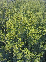 05a30b34.jpg