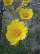 6a42258e.jpg