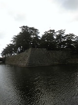 1f2d2d46.jpg