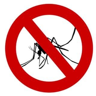 mosquito-1465062_640-min