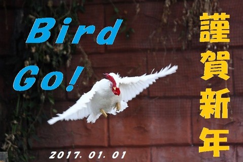 年賀2017