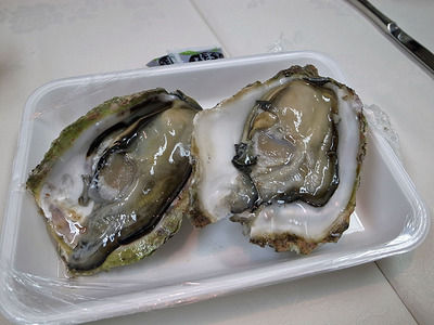 140802iwagaki-thumbnail2