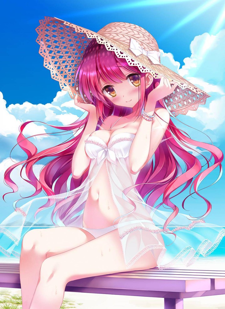 美少女の肢体が眩しい　水着の画像　エロイのもあるよ?