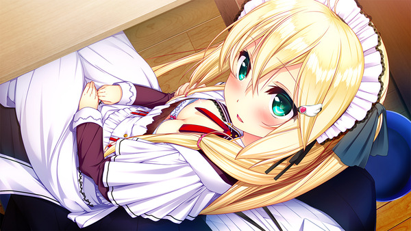 家事も性処理もお任せしたい　メイドさんのエロ画像