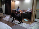 hakone09