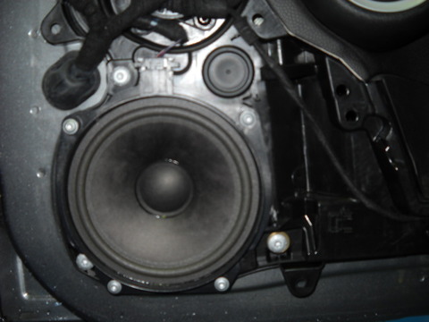 DSCN8987