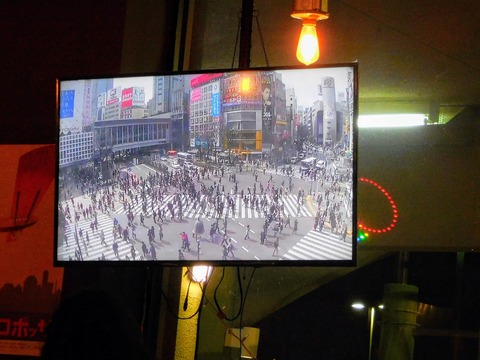 DSCN3534