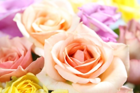 12d89c0c223fa0cba6aadffa65dd9805_s