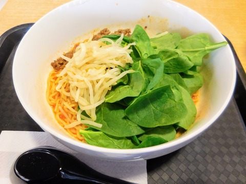 DSCN3460