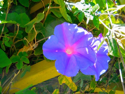 DSCN3854