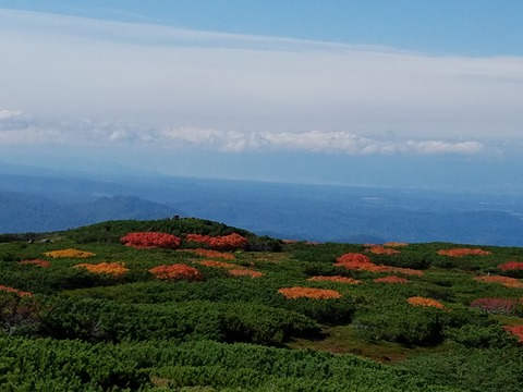 20170917_093839