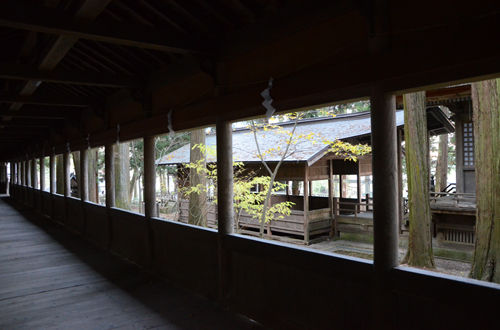 suwa