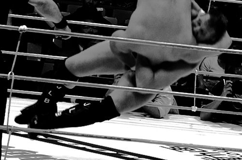 fight! 2011.12.31