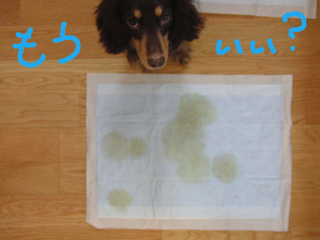 BlogPaint