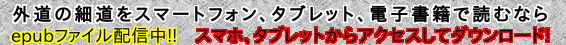 epubファイルバナー_566_45
