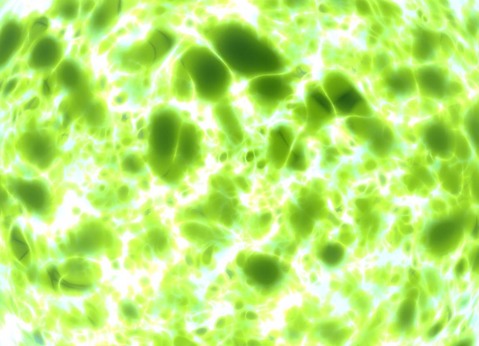 zb091219_01