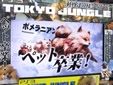 TOKYO JUNGLE(トーキョージャングル)