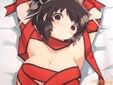 閃乱カグラ 裸リボン抱き枕カバー