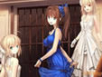 TYPE-MOON Fes