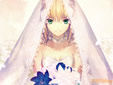 TYPE-MOON Fes