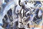 煮干し同人誌 「このいりこがすごい」