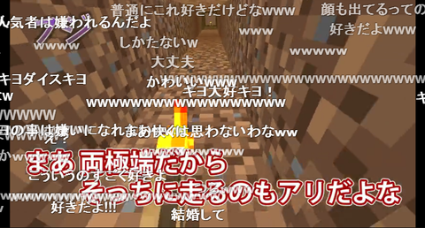 ニコニコ動画のまんこのコメント