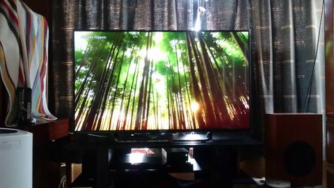 4Kテレビを買うバカ