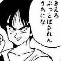 ダウンロード (14)