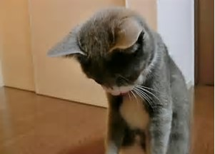 nnjk