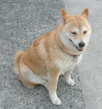 a