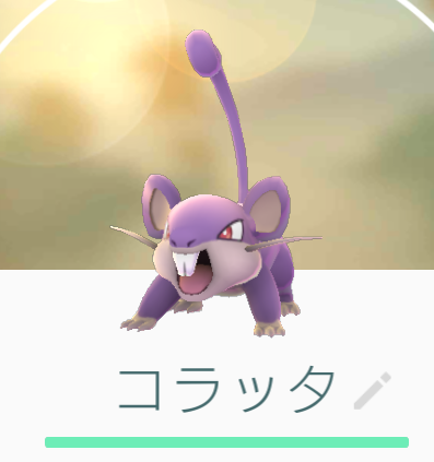 コラッタ
