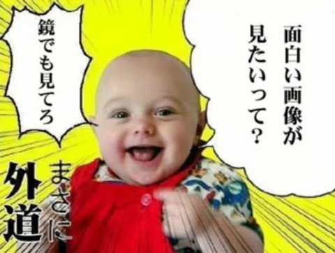 面白い画像