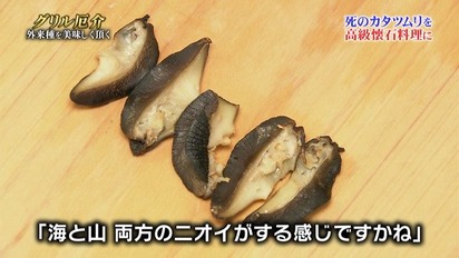 ダッシュカタツムリ