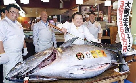 maguro hatsuseri 2019