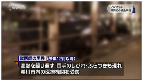 【ブルセラ症】50代獣医師が感染 インフルエンザと酷似=千葉・鴨川