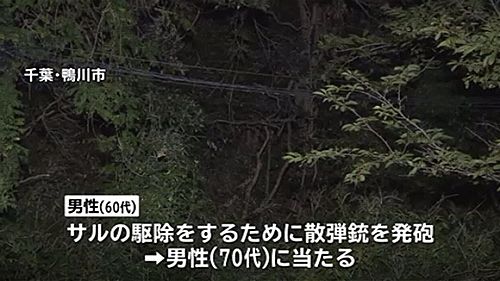 【千葉鴨川】サルと間違え散弾銃発砲、弾あたり70代男性死亡=男「サルに向け撃った」