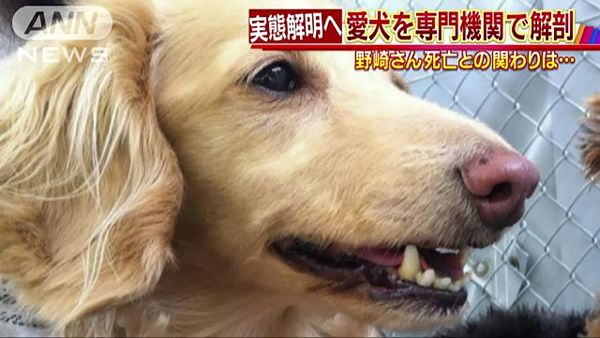 【資産家不審死】妻、遺体の前で家政婦と焼肉「遺骨は引き取らない」=シンガポールから小包、直後に愛犬急死